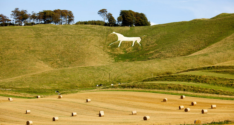 Cherhill White Horse Autumn